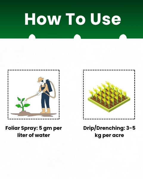 KATYAYANI NPK 00:52:34 - Fertilizers