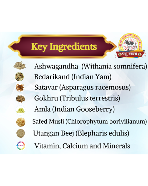 PASHU SVASTH Growth Powder For Growth and Increase the Body Weight of Calves, Heifers, and Small Animals Feed Supplements