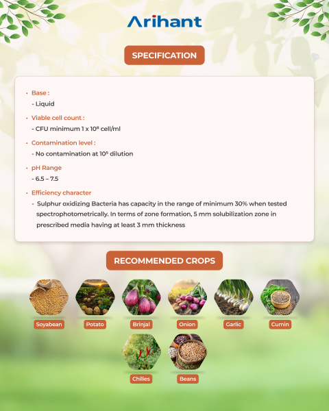 ARIHANT SULPHOXI - Bio Fertilizer