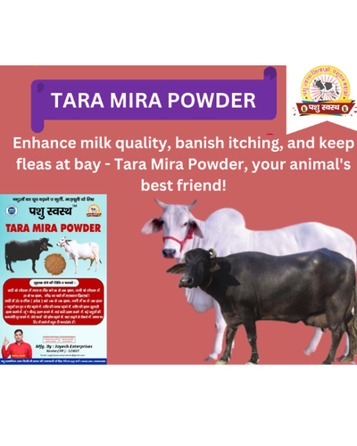 PASHU SVASTH Tara Mira Powder (Boost Milk & Fat Naturally) Feed Supplements