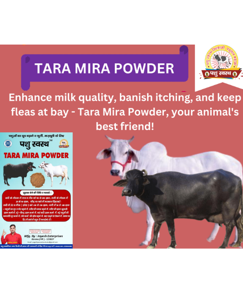 PASHU SVASTH Tara Mira Powder (Boost Milk & Fat Naturally) Feed Supplements