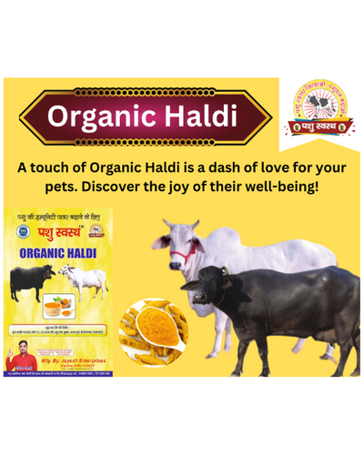 PASHU SVASTH Organic Haldi (Immunity Booster for Animals) Feed Supplements