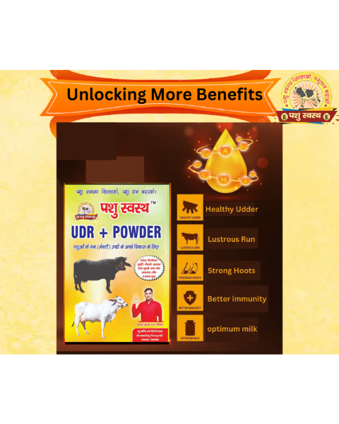 PASHU SVASTH UDR+ POWDER Development Powder for Cow & Buffalo Feed Supplements