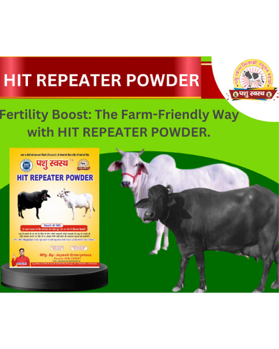 PASHU SVASTH Hit Repeater Powder (Natural Fertility Booster for Cows & Buffalo) Feed Supplements