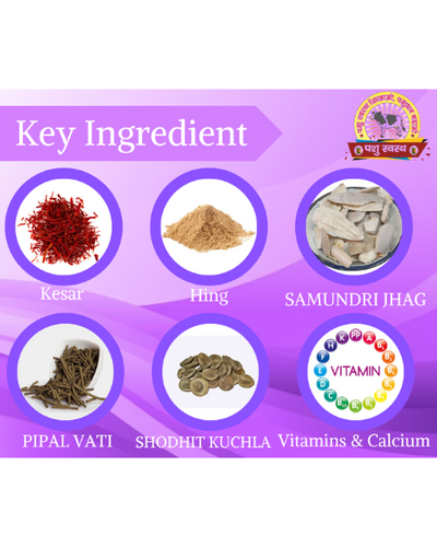 PASHU SVASTH FRS GOLD POWDER (Fight Phosphorus Deficiency in Cows & Buffalo) Feed Supplements