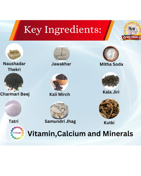 PASHU SVASTH Thun Suraksha (थन सुरक्षा - Herbal Solution for Mastitis) Cattle Care Products