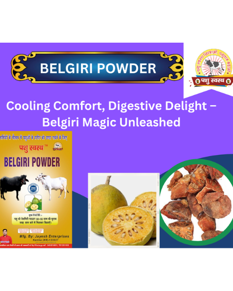 PASHU SVASTH BELGIRI POWDER (Natural Herbal Remedy for Cooling & Digestive Health in Animals) Feed Supplements