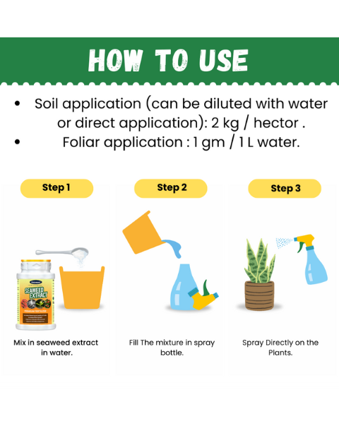 Katyayani Seaweed Extract (Powder) - Fertilizers