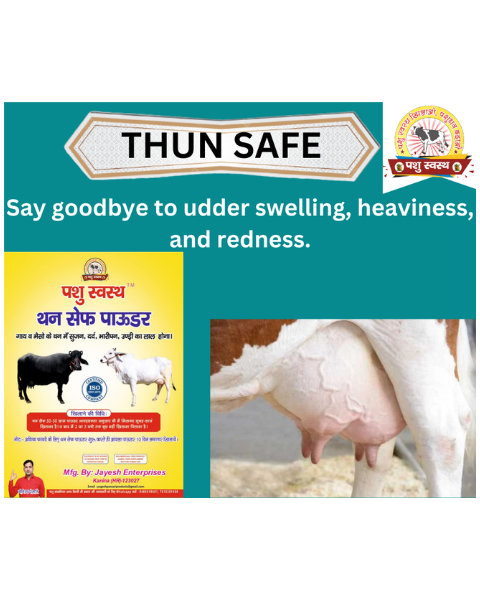 PASHU SVASTH Thun Safe (Herbal Relief for Mastitis & Udder Pain) Cattle Care Products
