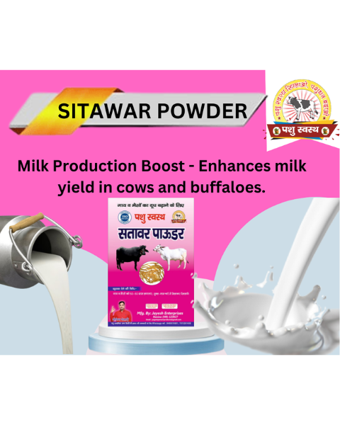 PASHU SVASTH Sitawar Powder (Pure Herbal Boost for Milk Yield) Feed Supplements
