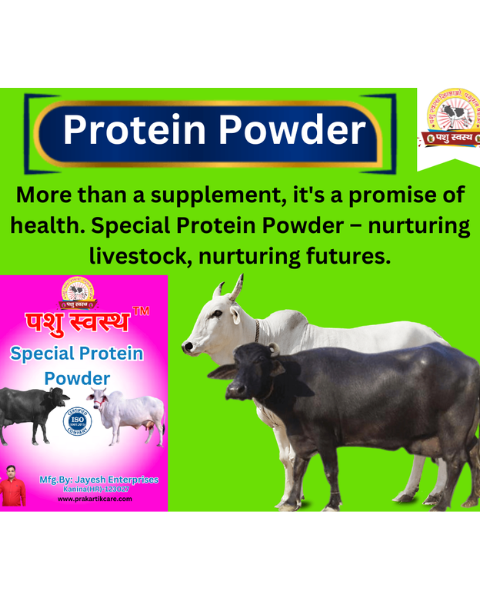 PASHU SVASTH Special Protein Powder (Strength & Stamina Boost) Feed Supplements