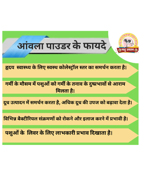 PASHU SVASTH Amla Powder (Boost Vitamin C for Cattle) Feed Supplements