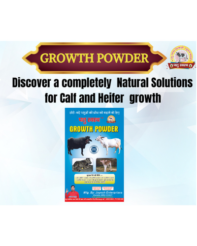 PASHU SVASTH Growth Powder For Growth and Increase the Body Weight of Calves, Heifers, and Small Animals Feed Supplements