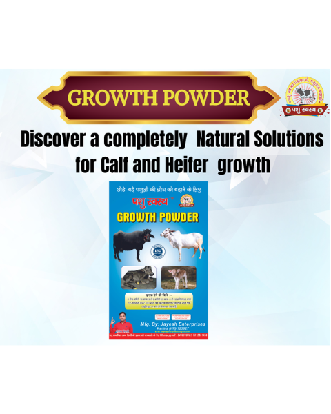 PASHU SVASTH Growth Powder For Growth and Increase the Body Weight of Calves, Heifers, and Small Animals Feed Supplements