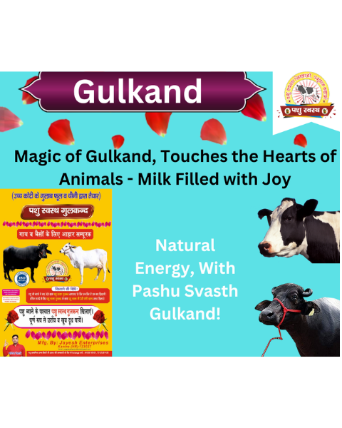 PASHU SVASTH (Gulkand Rose Infused) increase Milk, Cools Stomachs for Happy Cattle Feed Supplements