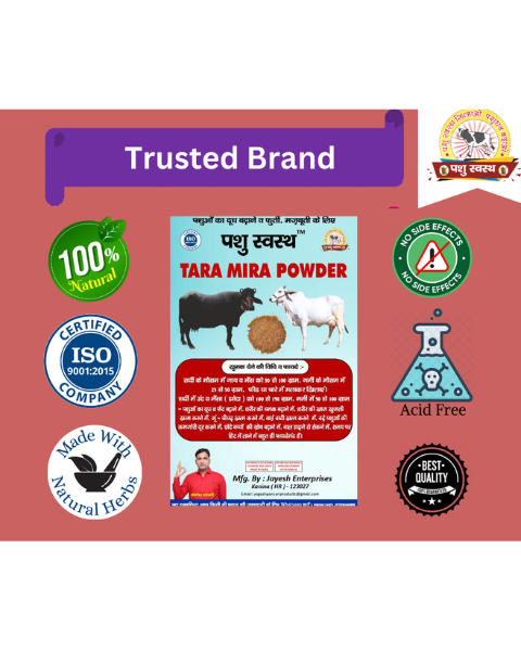 PASHU SVASTH Tara Mira Powder (Boost Milk & Fat Naturally) Feed Supplements