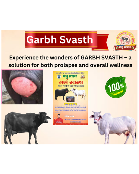 PASHU SVASTH Garbha Svasth (Herbal Solution for Cattle Prolapse & Uterine Health) Cattle care products