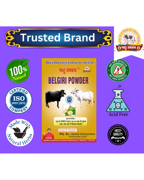 PASHU SVASTH BELGIRI POWDER (Natural Herbal Remedy for Cooling & Digestive Health in Animals) Feed Supplements