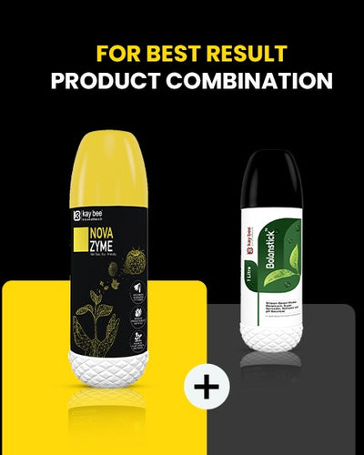 KAY BEE - NOVA ZYME GROWTH REGULATOR