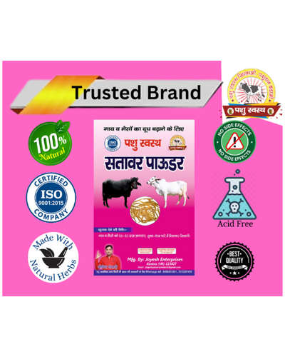PASHU SVASTH Sitawar Powder (Pure Herbal Boost for Milk Yield) Feed Supplements