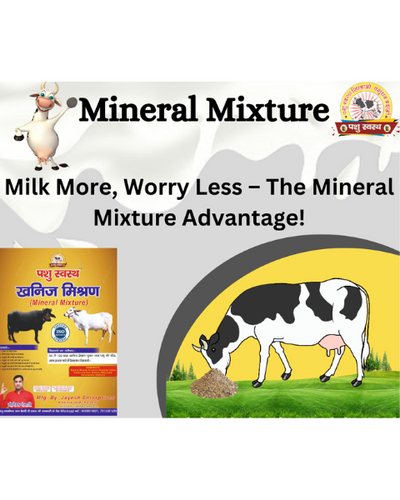 PASHU SVASTH Mineral Mixture (Boost Milk, Health & Fertility) Feed Supplements