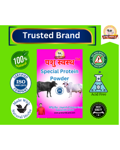 PASHU SVASTH Special Protein Powder (Strength & Stamina Boost) Feed Supplements