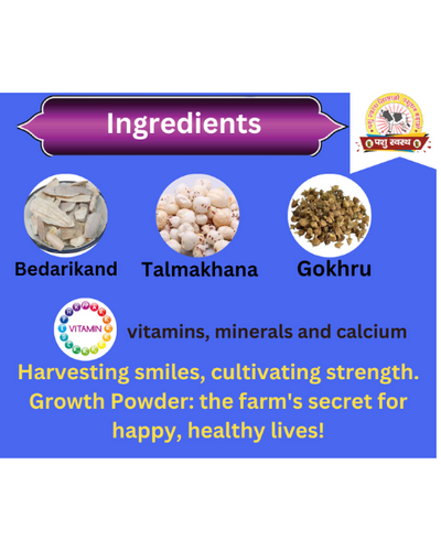PASHU SVASTH Pig & Goat Growth Powder (Natural Weight Booster) Feed Supplements