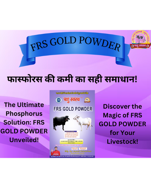 PASHU SVASTH FRS GOLD POWDER (Fight Phosphorus Deficiency in Cows & Buffalo) Feed Supplements