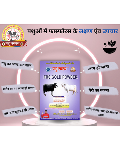 PASHU SVASTH FRS GOLD POWDER (Fight Phosphorus Deficiency in Cows & Buffalo) Feed Supplements