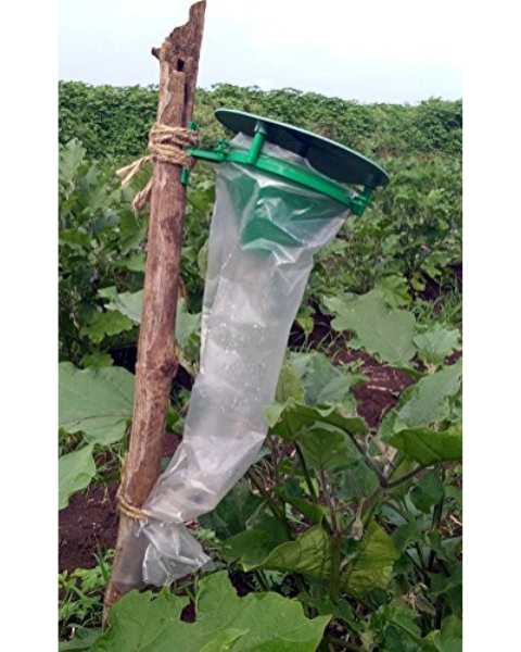 Tapas Funnel Trap: Eco-Friendly Pest Control for All Crops
