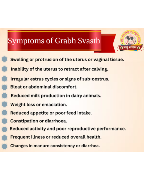 PASHU SVASTH Garbha Svasth (Herbal Solution for Cattle Prolapse & Uterine Health) Cattle care products
