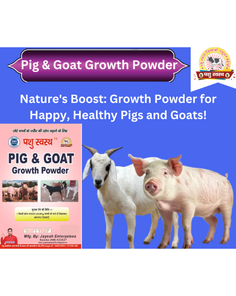 PASHU SVASTH Pig & Goat Growth Powder (Natural Weight Booster) Feed Supplements