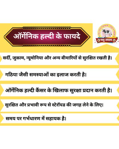 PASHU SVASTH Organic Haldi (Immunity Booster for Animals) Feed Supplements