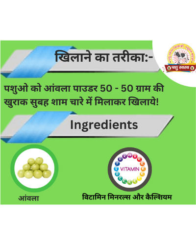 PASHU SVASTH Amla Powder (Boost Vitamin C for Cattle) Feed Supplements