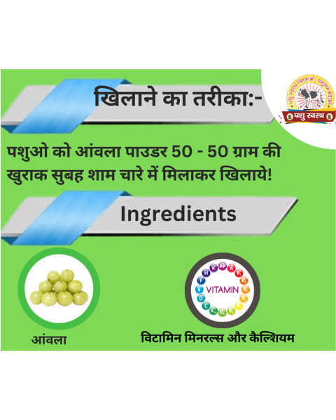 PASHU SVASTH Amla Powder (Boost Vitamin C for Cattle) Feed Supplements