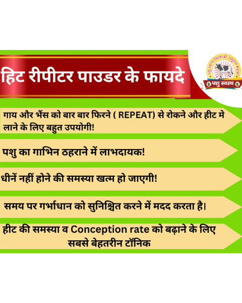 PASHU SVASTH Hit Repeater Powder (Natural Fertility Booster for Cows & Buffalo) Feed Supplements