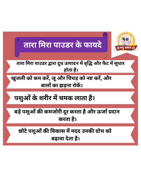 PASHU SVASTH Tara Mira Powder (Boost Milk & Fat Naturally) Feed Supplements