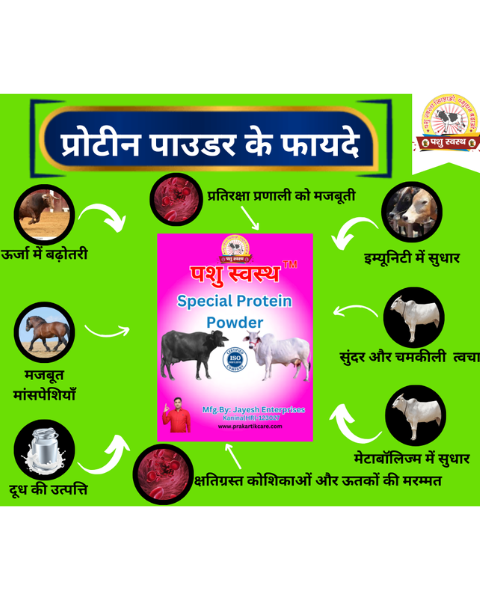PASHU SVASTH Special Protein Powder (Strength & Stamina Boost) Feed Supplements