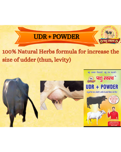 PASHU SVASTH UDR+ POWDER Development Powder for Cow & Buffalo Feed Supplements