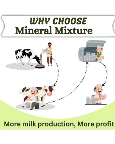 PASHU SVASTH Mineral Mixture (Boost Milk, Health & Fertility) Feed Supplements