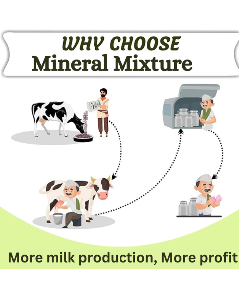 PASHU SVASTH Mineral Mixture (Boost Milk, Health & Fertility) Feed Supplements
