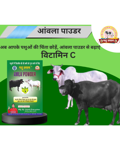 PASHU SVASTH Amla Powder (Boost Vitamin C for Cattle) Feed Supplements