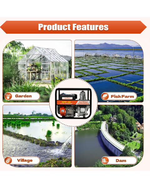 NEPTUNE SIMPLIFY FARMING 6.5 HP पेट्रो वॉटर पंप सेट, 3X3 INCH (बहुविकल्पी, NPP-30)