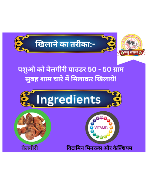 PASHU SVASTH BELGIRI POWDER (Natural Herbal Remedy for Cooling & Digestive Health in Animals) Feed Supplements