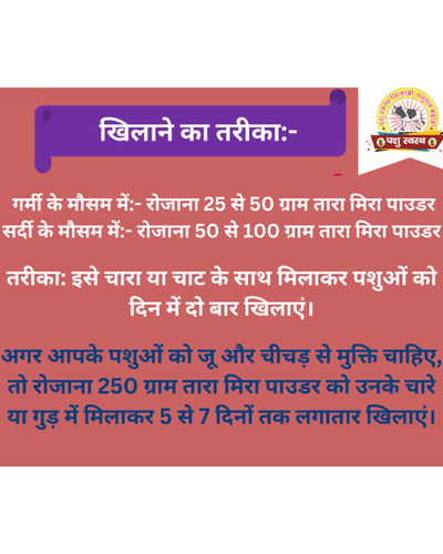 PASHU SVASTH Tara Mira Powder (Boost Milk & Fat Naturally) Feed Supplements
