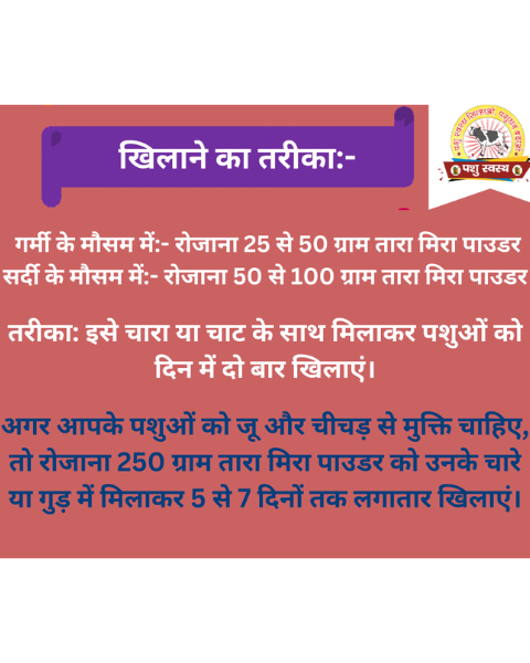 PASHU SVASTH Tara Mira Powder (Boost Milk & Fat Naturally) Feed Supplements