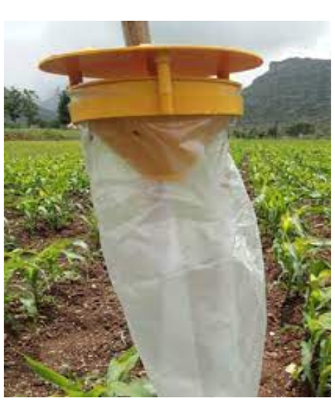 Tapas Funnel Trap: Eco-Friendly Pest Control for All Crops