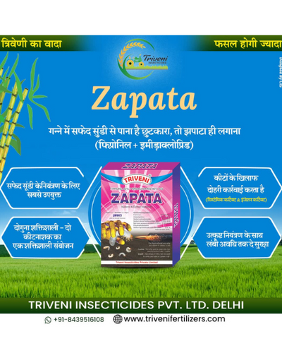 TRIVENI ZAPATA  - Insecticides