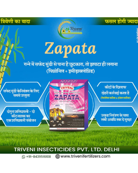 TRIVENI ZAPATA  - Insecticides