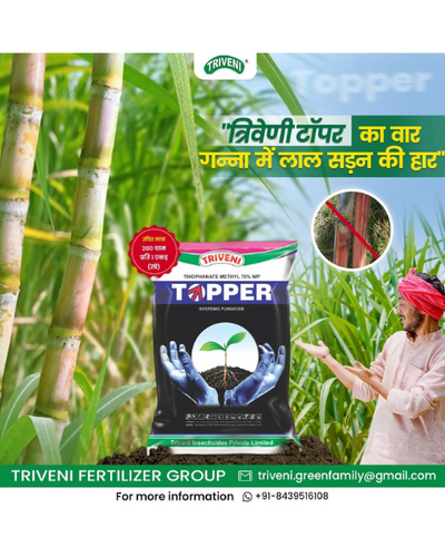 TRIVENI TOPPER 70% - Fungicides